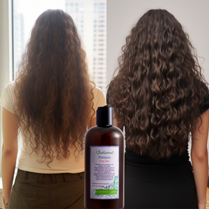 Frizz Hair Shampoo / Frizz Hair